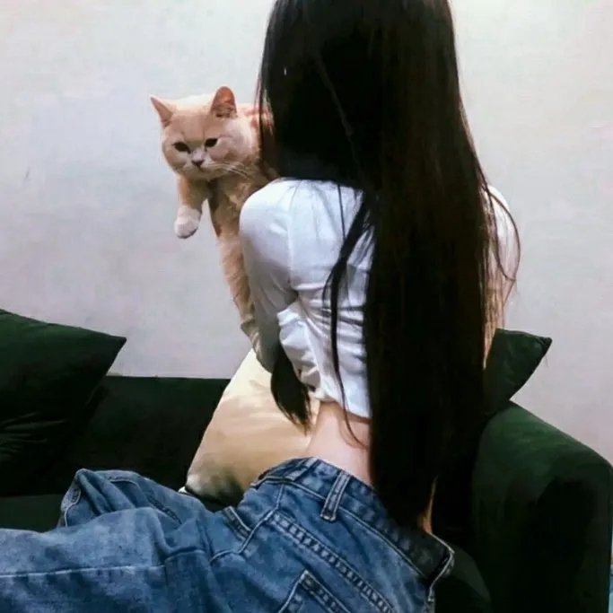 电视拍手者 海报